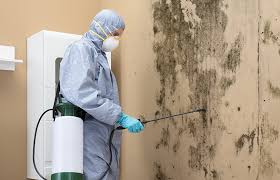 Best Air Quality Testing for Mold Spores  in Palm Beach Shores, FL